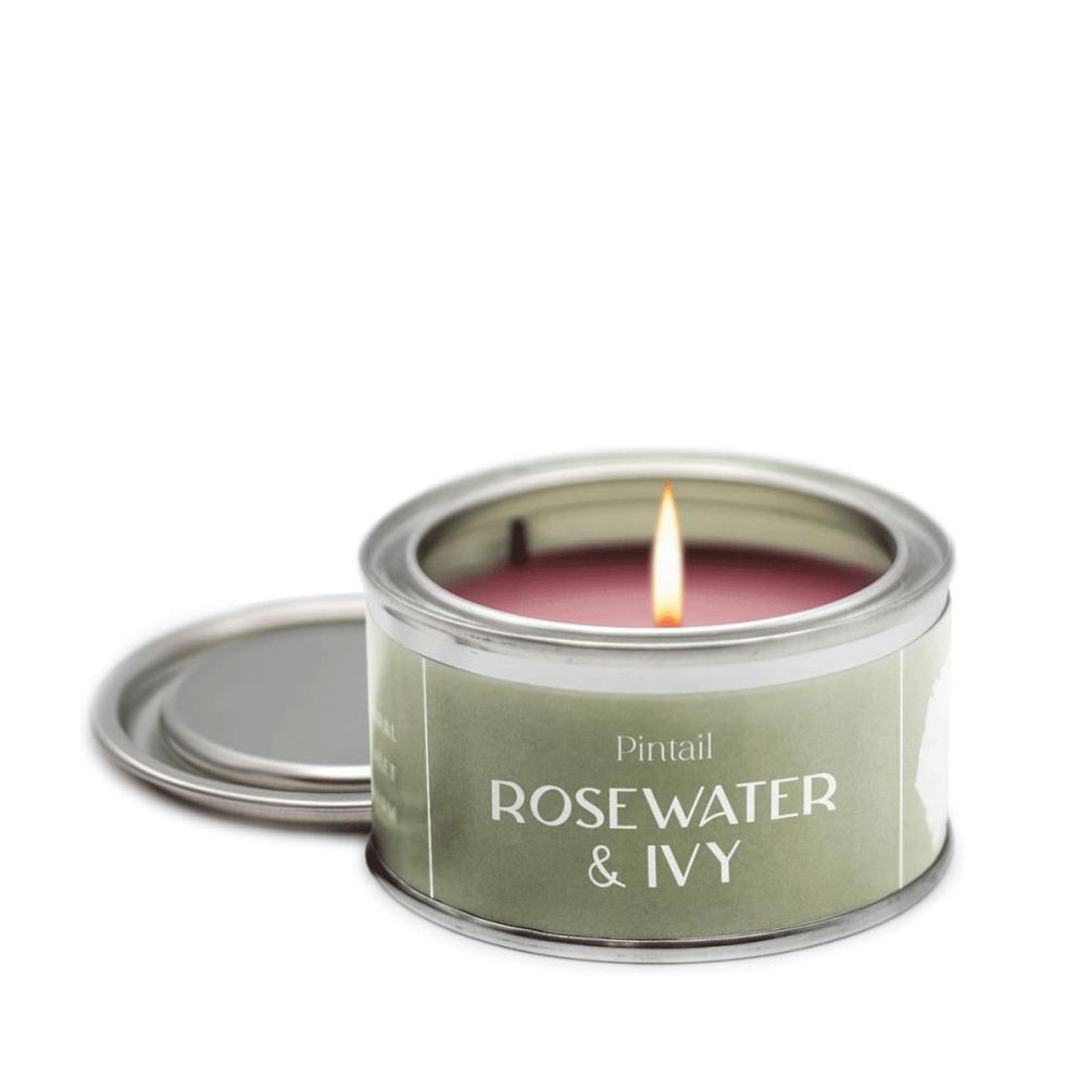 Pintail Candles Rosewater & Ivy Paint Pot Candle £5.18